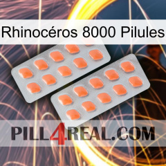 Rhinocéros 8000 Pilules 27